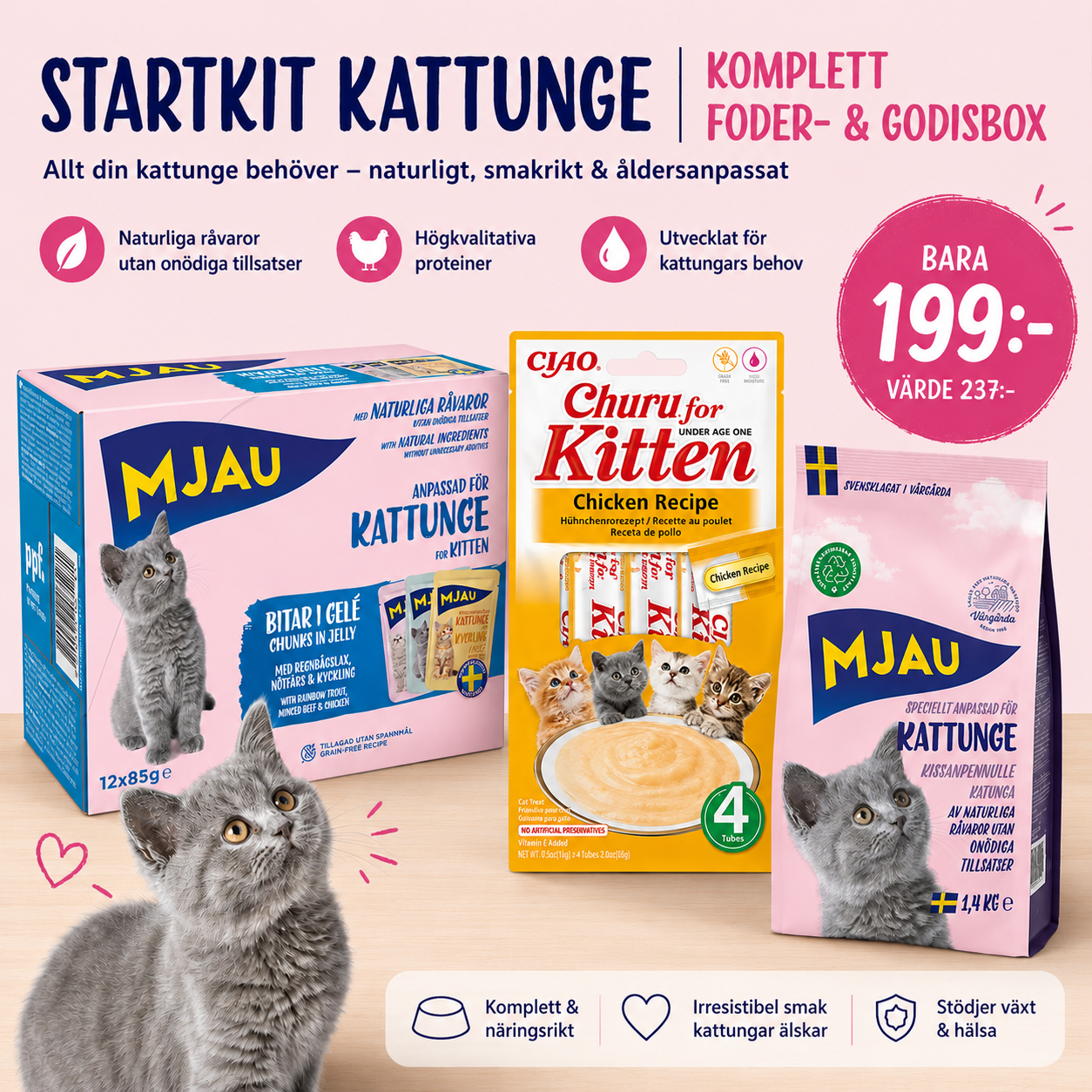 Startkit Kattunge | Komplett Foder- & Godisbox