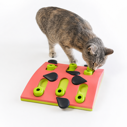 Melon Madness Aktiveringsleksak för Katt