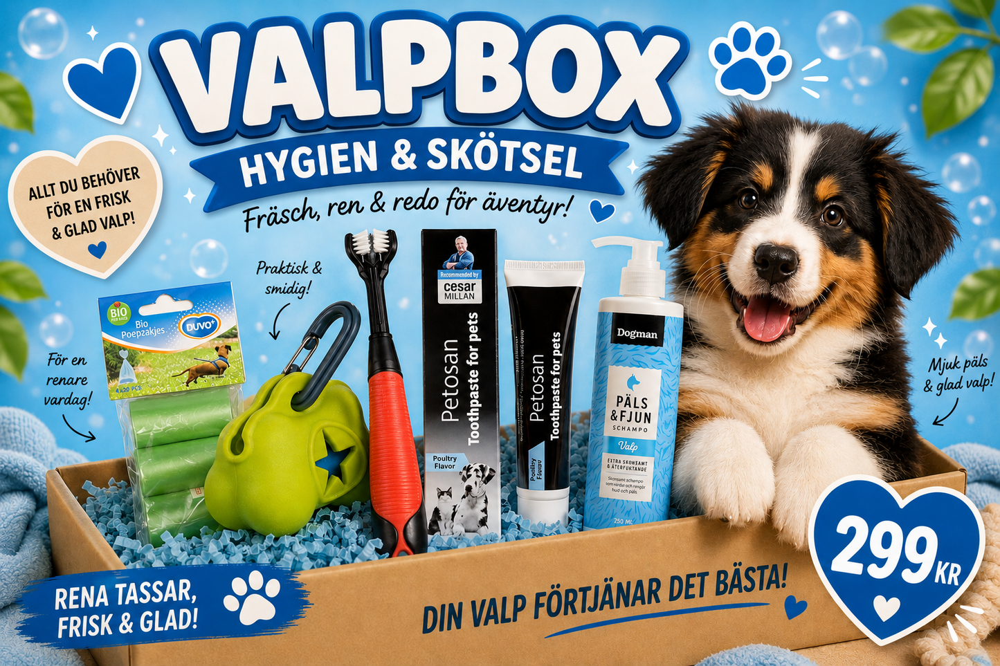 Valpbox: Hygien & Skötsel