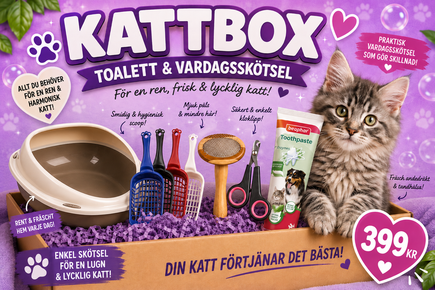 Kattbox: Toalett & Vardagsskötsel