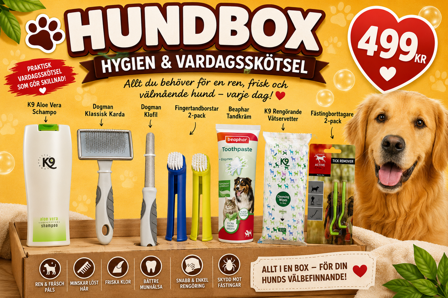 Hundbox: Hygien & Vardagsskötsel