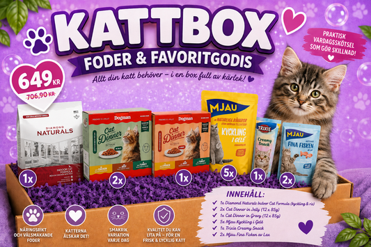 Kattbox: Foder & Favoritgodis
