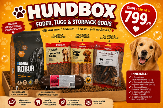 Hundbox: Foder, Tugg & Storpack Godis