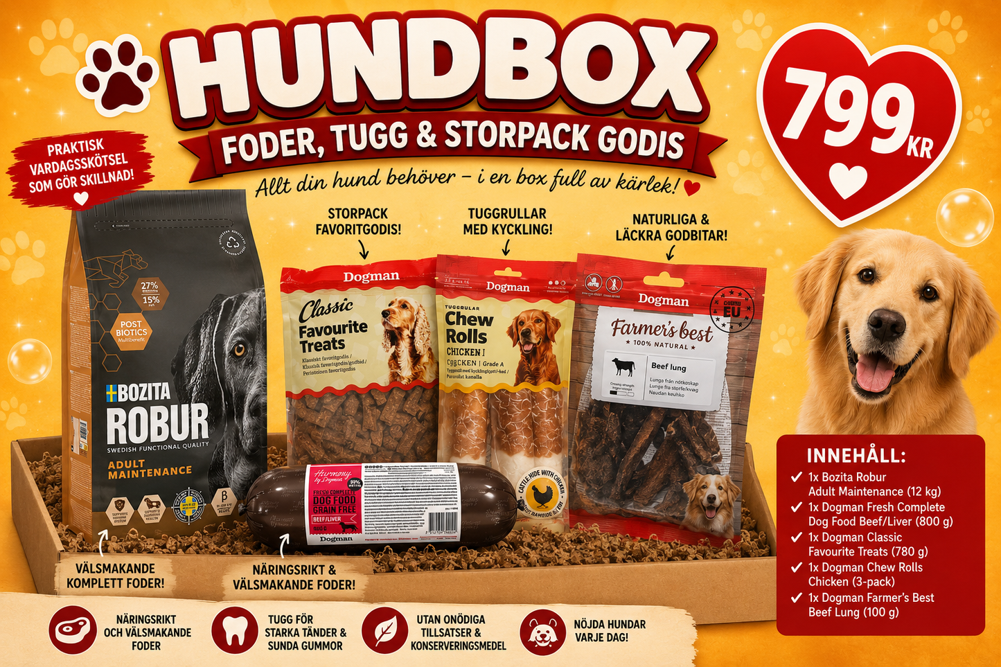 Hundbox: Foder, Tugg & Storpack Godis