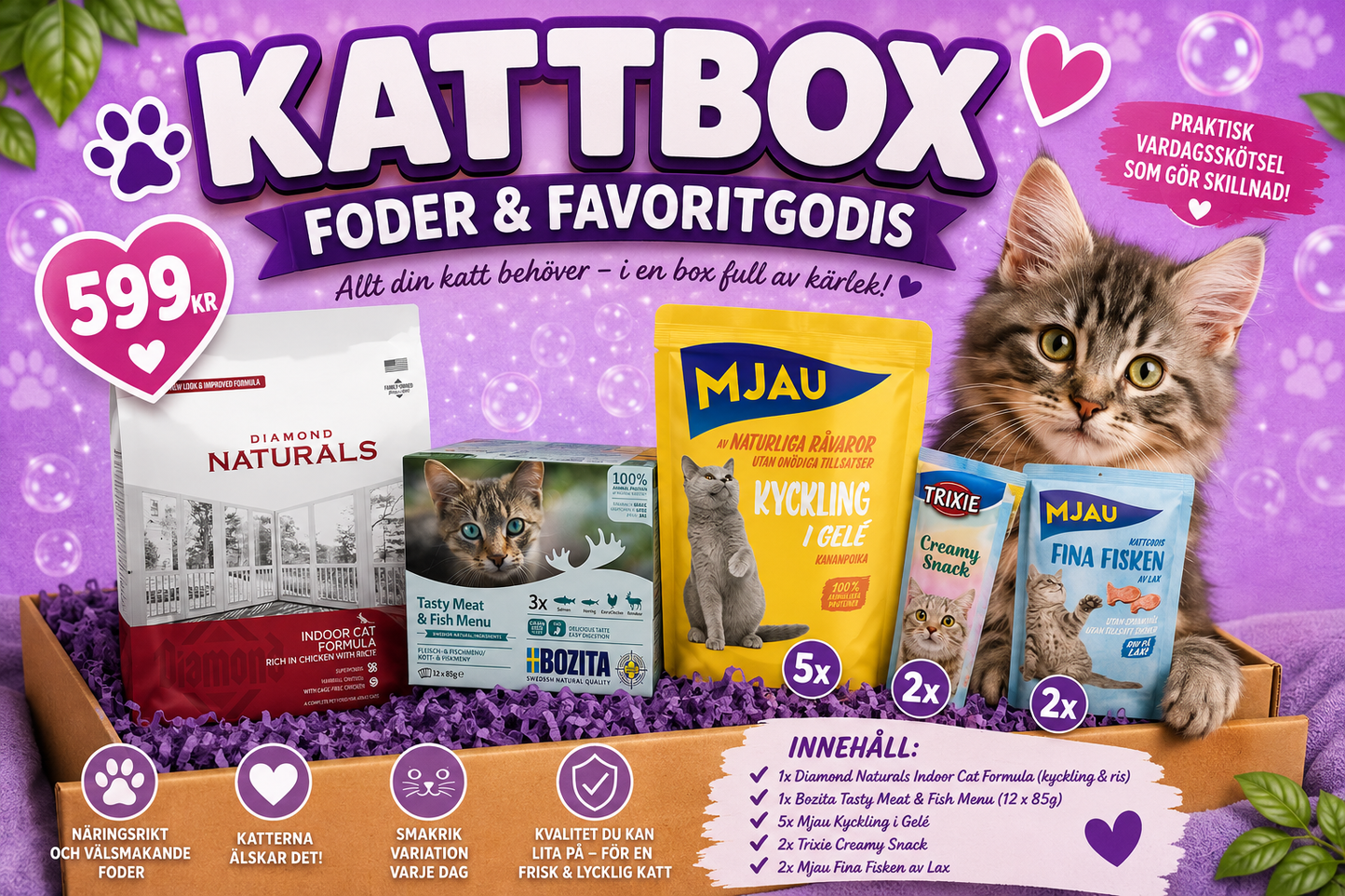Kattbox: Foder & Favoritgodis
