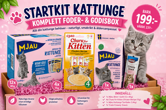 Startkit Kattunge | Komplett Foder- & Godisbox