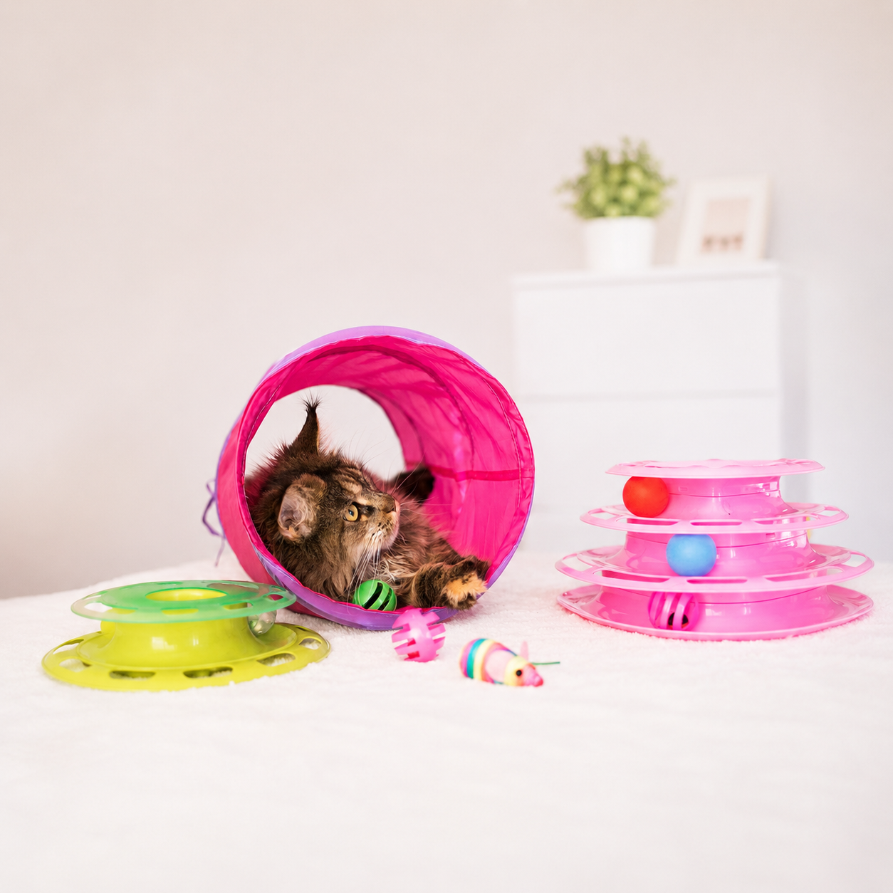 Rosa Lektunnel till Katt