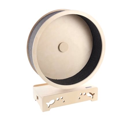 Aktivitetshjul för Innekatter