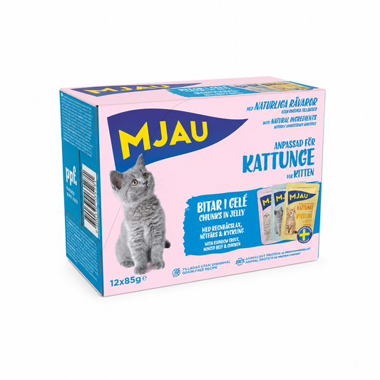 Mjau våtfoder för kattunge, multipack i gelé med 12x85 gram