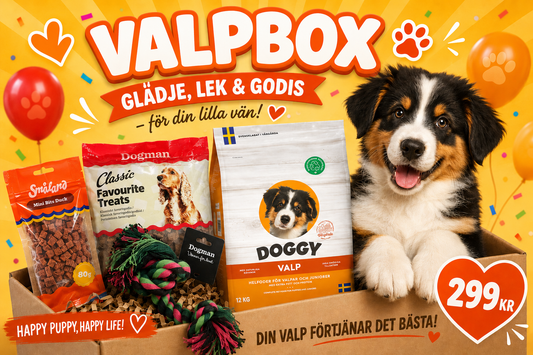 Valpbox | Doggy Foder, Dogman Godis & Vixen Leksak